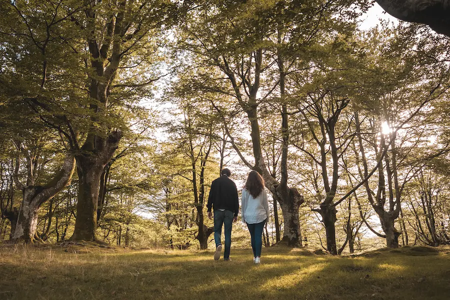 tax planning for retirees