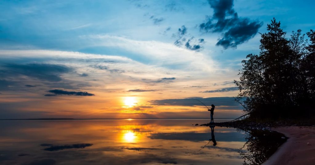 What Are Financial Values and Why Are They Important?